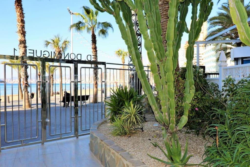 Luxurious 2-Bedroom Apt With Stunning Views, 1St Line On Levante Beach, Benidorm Bagian luar foto